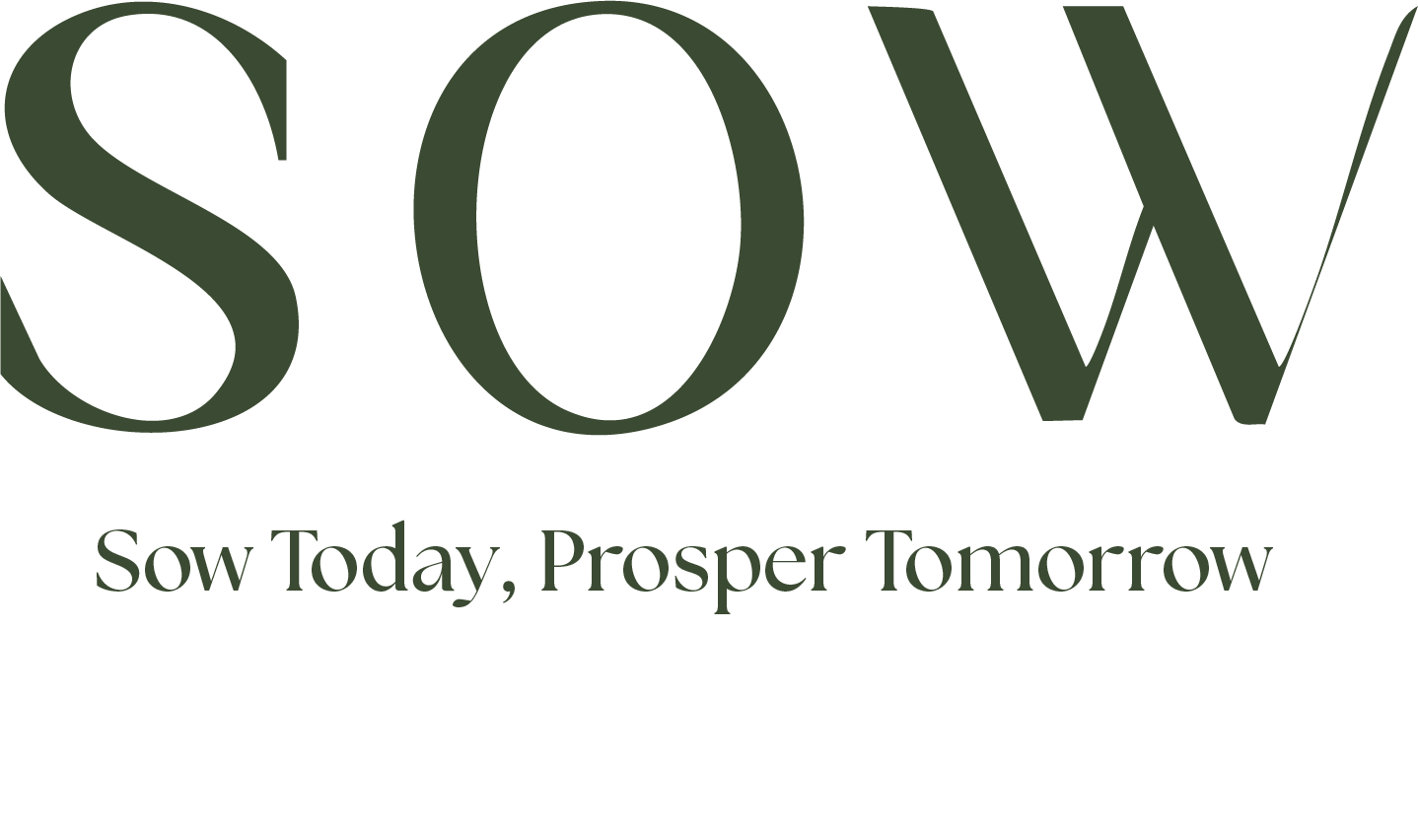 Sow Financial