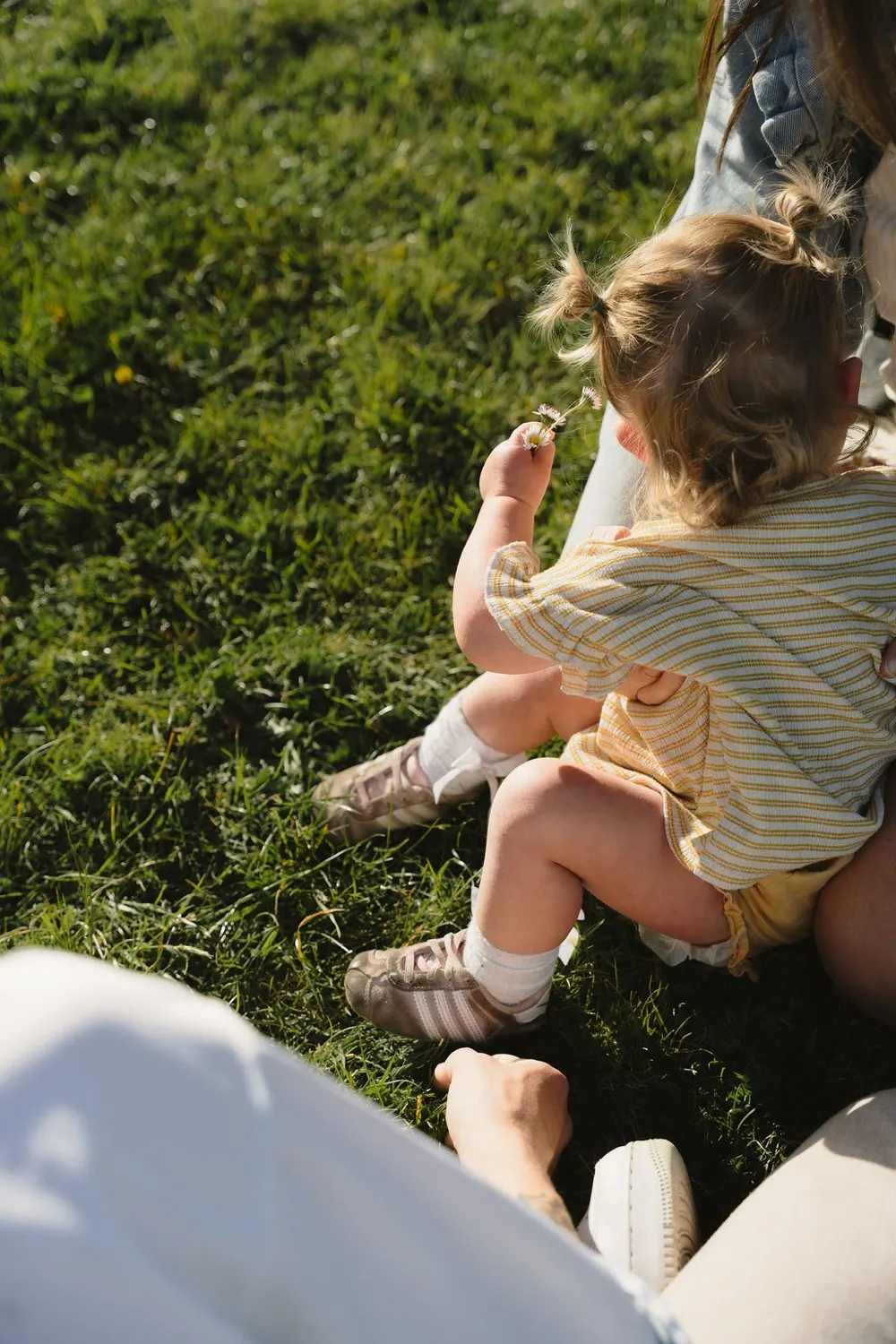 A young child holding a daisy in a sunlit field